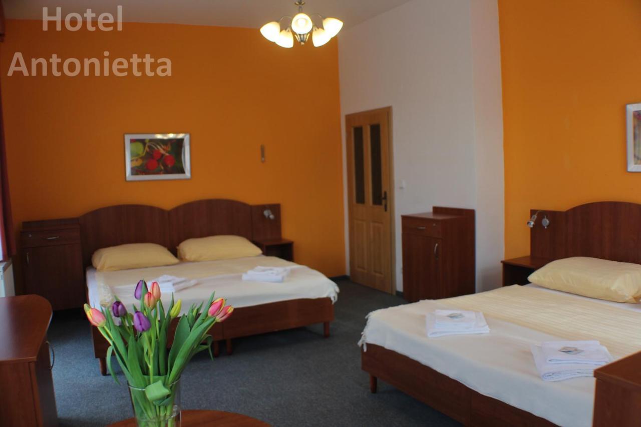 Hotel Antonietta Teplice Exterior photo