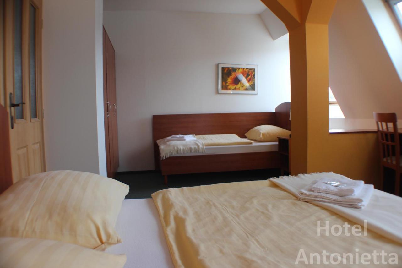 Hotel Antonietta Teplice Room photo